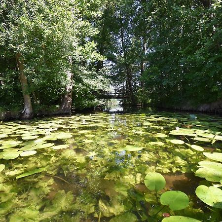 Ferienhaus-See-Sauna-Kamin-Hund Mit E-Ladestation Krakow am See Dış mekan fotoğraf