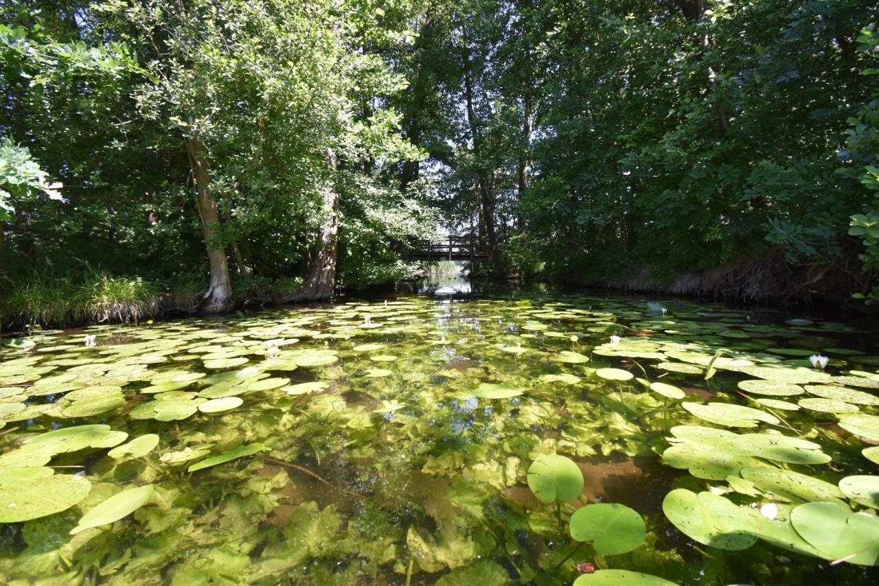 Ferienhaus-See-Sauna-Kamin-Hund Mit E-Ladestation Krakow am See Dış mekan fotoğraf